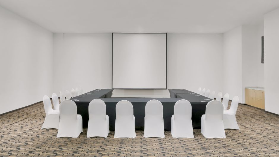 Fiesta Inn Insurgentes Sur Meeting