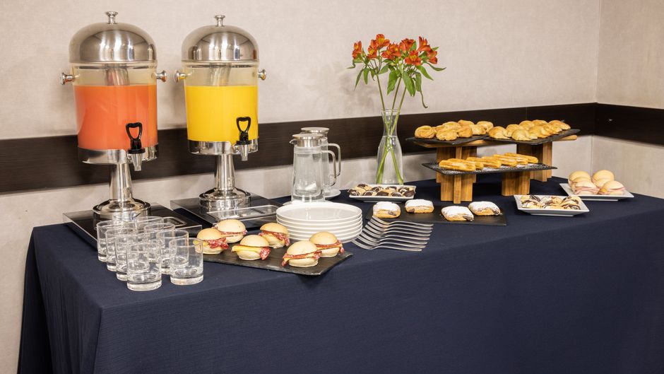 Holiday Inn Express Puerto Madero Meeting