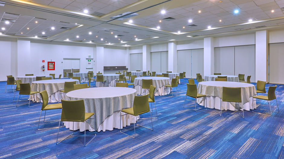 Holiday Inn Patria-Universidad Spa