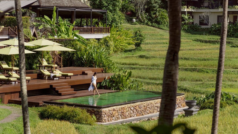 Four Seasons Resort Chiang Mai Pool