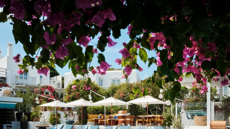 Belvedere Hotel Pool