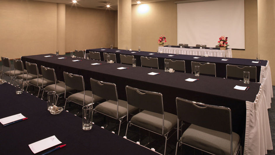 Hotel Francia Aguascalientes Spa