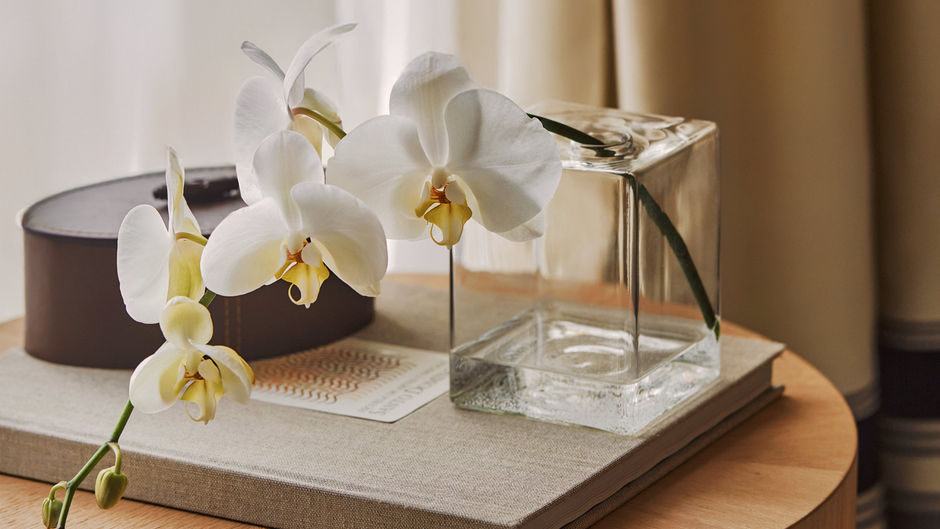 Four Seasons Hotel and Residences Room