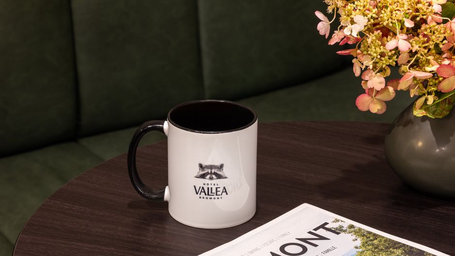 Hotel Vallea Bromont Other