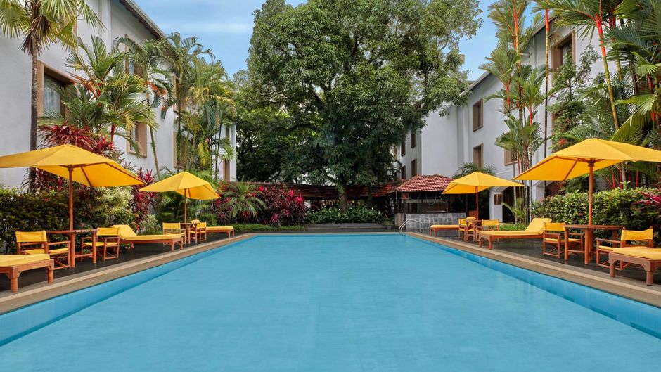 The Fern Kochi Series by Marrio Pool