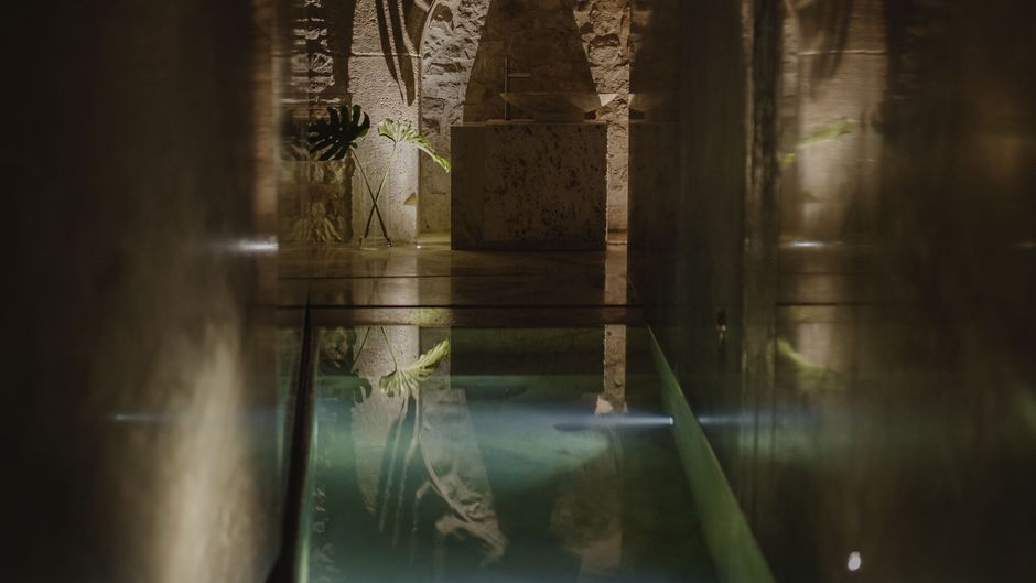 Hotel Pod Roza Pool