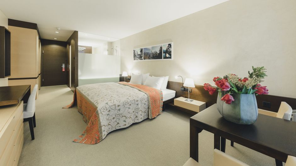 Hotel Residence Room