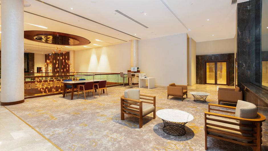 Holiday Inn Baku Other