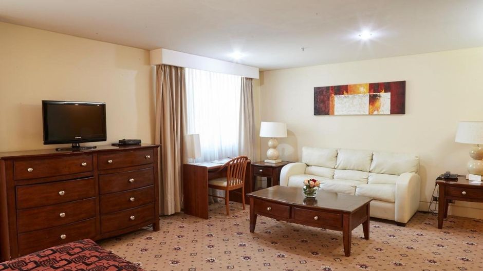 Hotel Torremayor Lyon Other