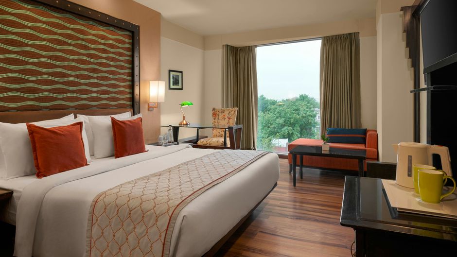 The Fern Jaipur Room