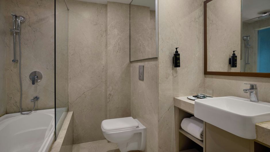 The Fern Vadodara Room