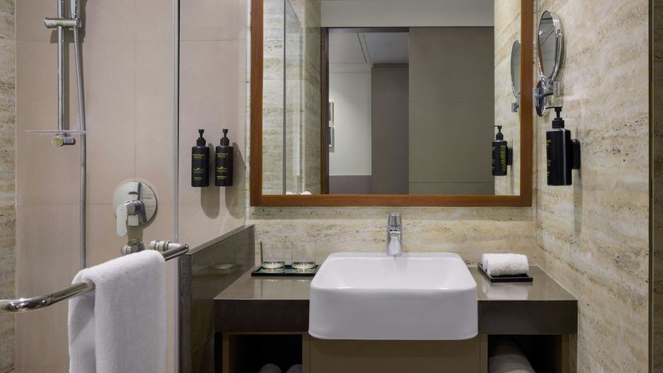 The Fern Vadodara Room
