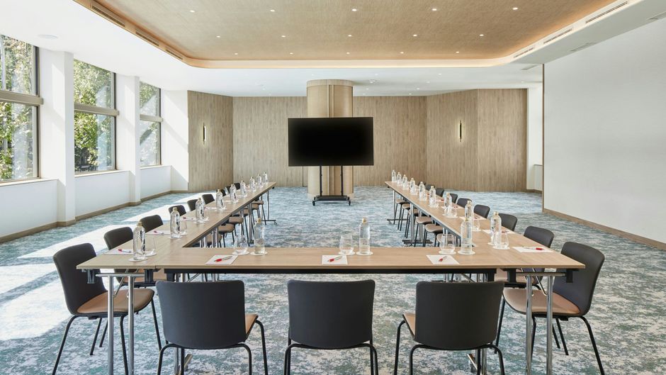 Madrid Marriott Hotel Princesa Plaza Meeting