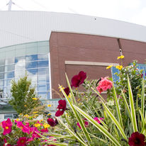 Angel Of The Winds Arena
