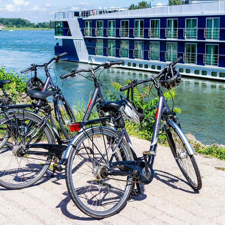 AmaDante Cruise Schedule + Sailings