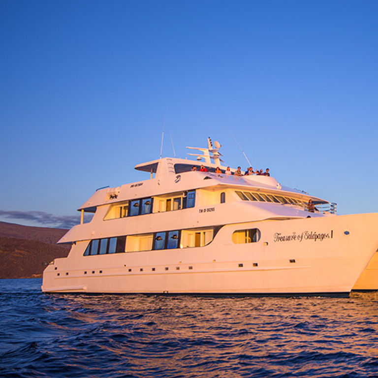 Treasure of Galapagos Cruise Schedule + Sailings