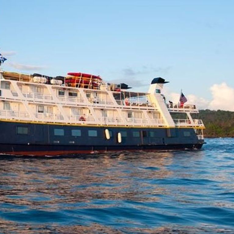 Lindblad Expeditions Natl Geographic Sea Lion Ensenada Cruises