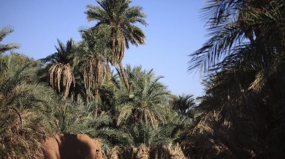 Biskra, Algeria