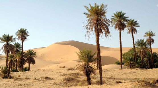 Taghit, Algeria