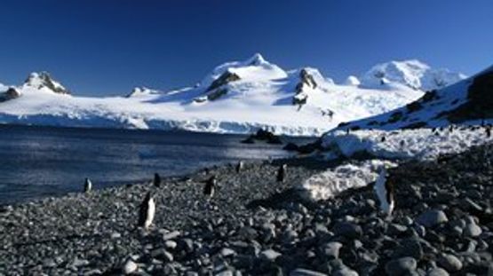 South Shetland Islands, Antarctica