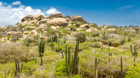 Arikok National Park, Aruba