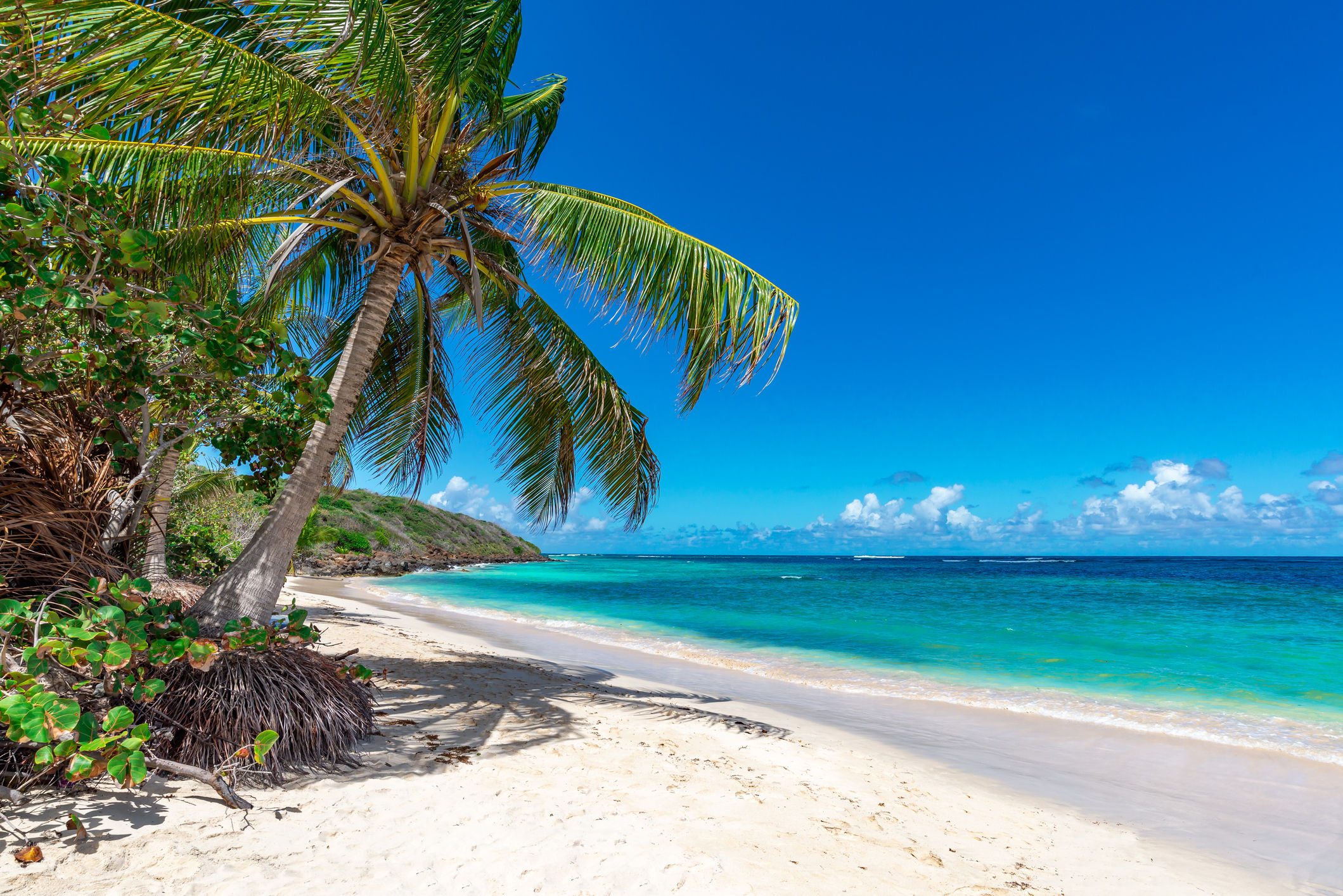 その他 Nassau Bahamas - New Providence  [DVD] Nassau, New Providence Island, Bahamas Travel Guide- Top Hotels
