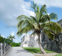 Nassau Scenery