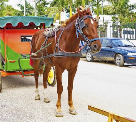 Belize City Scenery
