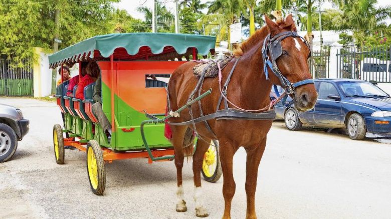 <b>Belize City Scenery</b>