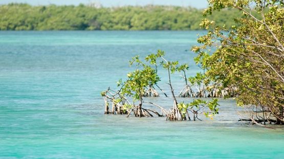 Caye Caulker, Belize