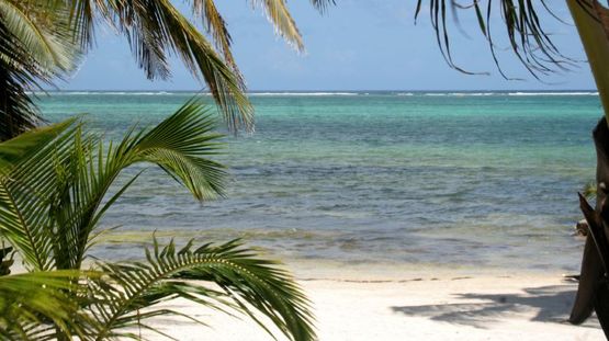 Punta Gorda, Belize