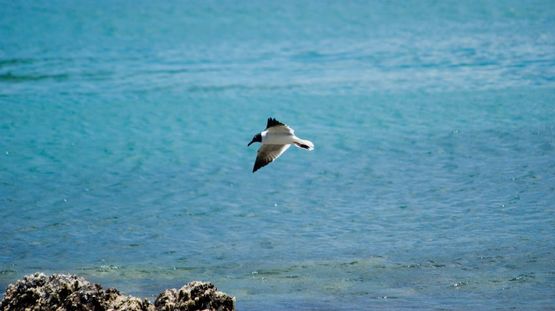 Harrington Sound, Bermuda