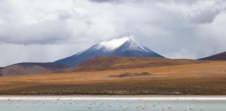 Mountain reflecting in the lake with flamingos