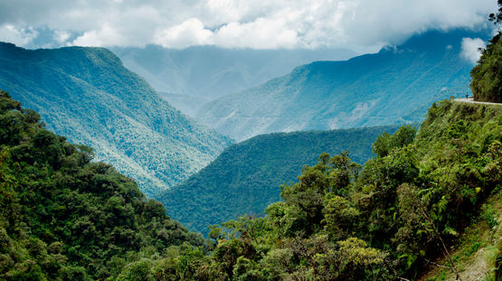 Los Yungas Area, Bolivia