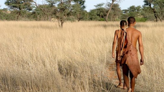 Kalahari Desert, Botswana