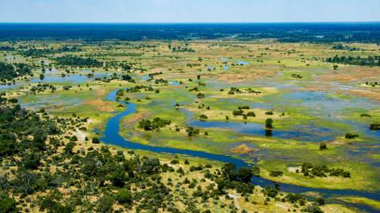 Okavango Delta, Botswana