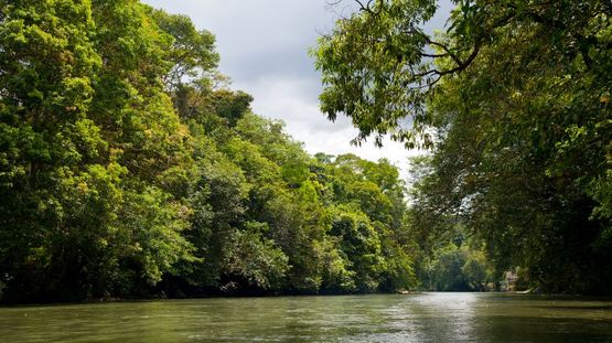 Temburong District, Brunei Darussalam