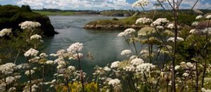 Saint John Scenery