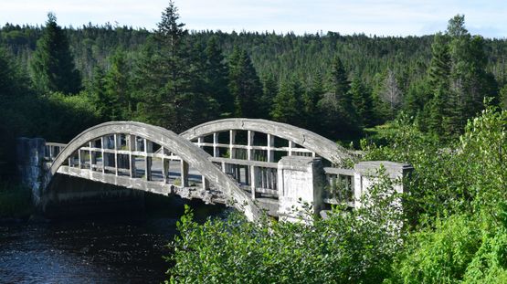 Salmonier, Newfoundland & Labrador, Canada