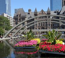 Toronto Scenery