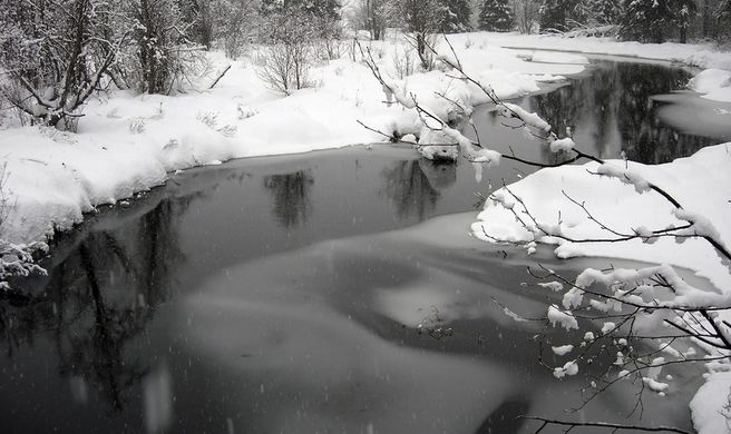 Whistler Scenery