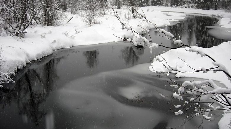 <b>Whistler Scenery</b>