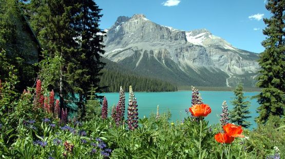 Yoho National Park, British Columbia, Canada