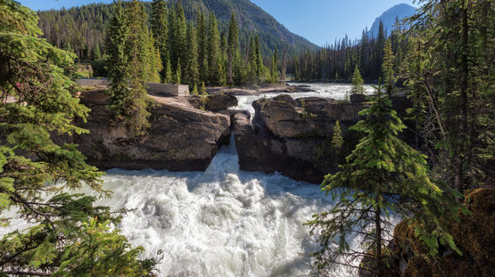 Yoho National Park, Alberta, Canada