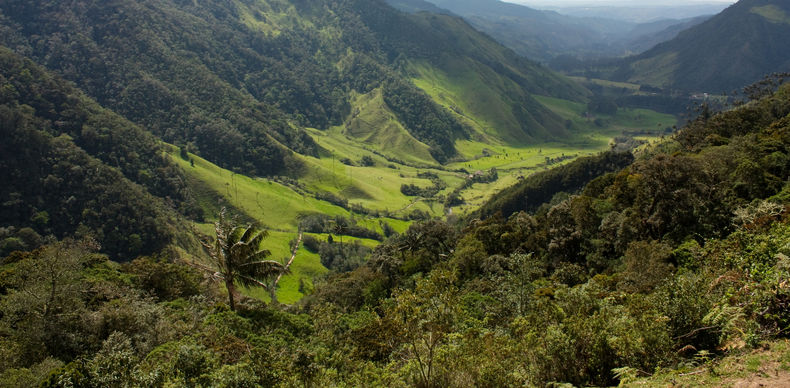 Landscape of Cocora Valley