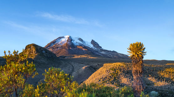 Parque De Los Nevados, Colombia