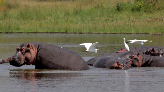 Bouenza Region, Republic of the Congo