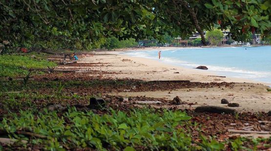 Cahuita National Park, Costa Rica