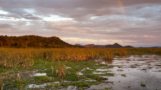 Palo Verde National Park, Costa Rica