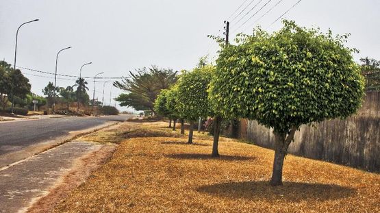 Korhogo, Cote d'Ivoire